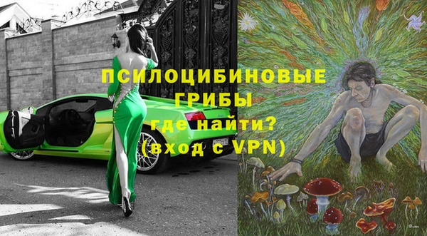 твердый Тында